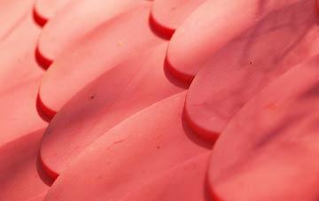 Claverham plastic roof costs